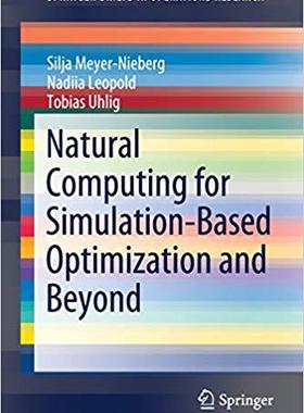 【预售】Natural Computing for Simulation-Based Optimization and Beyond