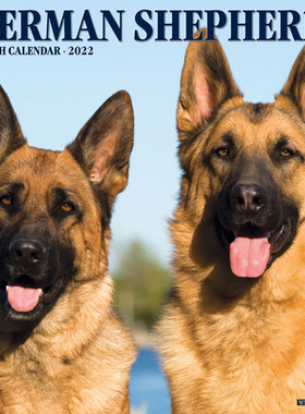 【预订】Just German Shepherds 2022 Wall Calendar (Dog Breed) 9781549218026