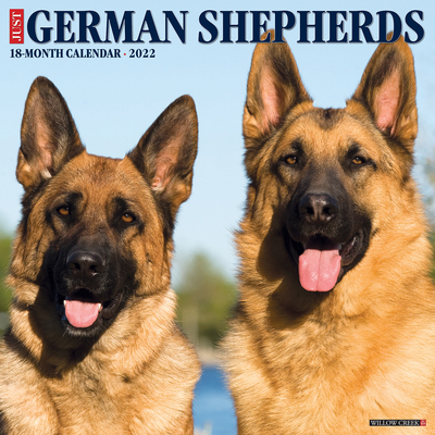 【预订】Just German Shepherds 2022 Wall Calendar (Dog Breed) 9781549218026