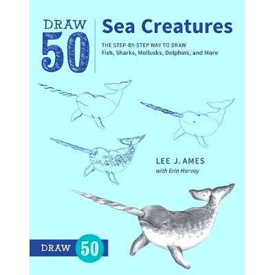 The Step-By-Step Way to Draw Fish, Shark