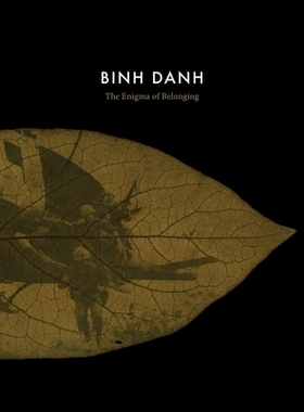 预订 Binh Danh: The Enigma of Belonging 平丹：归属之谜: 9781955161039