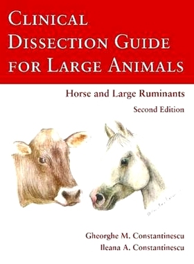预订 Clinical Dissection Guide for Large Animals: 9781105072840