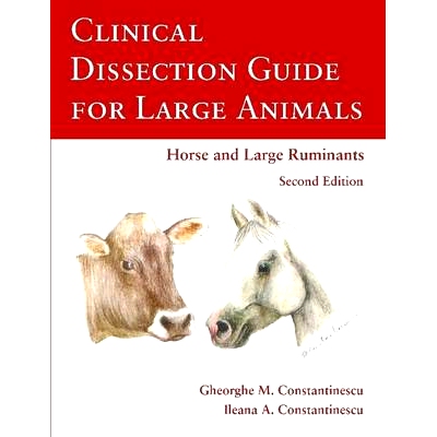 预订 Clinical Dissection Guide for Large Animals: 9781105072840