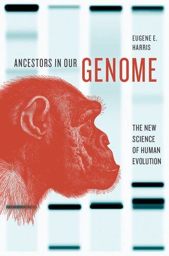 英文原版 我们的祖先基因组 Ancestors in Our Genome