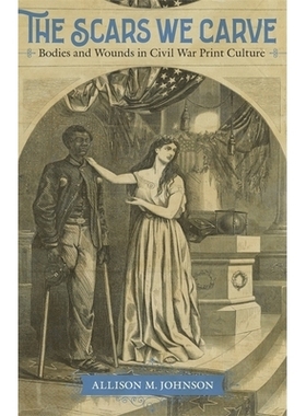 预订 The Scars We Carve: Bodies and Wounds in Civil War Print Culture 我们雕刻的伤痕：内战印刷文化中的身体和伤口: 978080