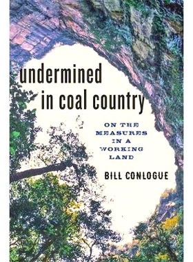 预订 Undermined in Coal Country: On the Measures in a Working Land 煤炭之乡的破坏：关于工作土地的措施: 9781421423180