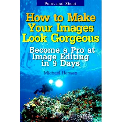 预订 Point and Shoot: How to Make Your Images Look Gorgeous: Become a Pro at Image Editing in 9 Days: 9781489583253