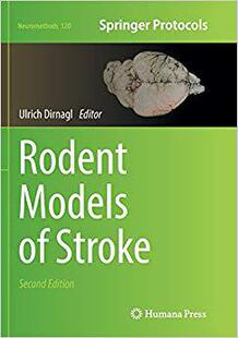 【预售】Rodent Models of Stroke