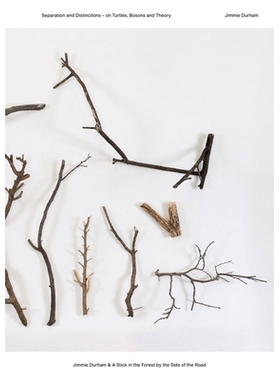 预订 Jimmie Durham & A Stick in the Forest by the Side of the Road: Separation and Distinctions – on Turtles, Bosons an