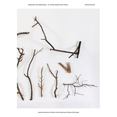 预订 Jimmie Durham & A Stick in the Forest by the Side of the Road: Separation and Distinctions – on Turtles, Bosons an