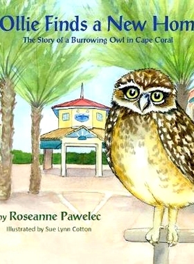 预订 Ollie Finds a New Home: The Story of Burrowing Owl in Cape Coral: 9781614935490