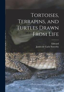 [预订]Tortoises, Terrapins, and Turtles Drawn From Life 9781015623019