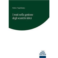 预订 I reati nella gestione degli scarichi idrici: 9788833797113