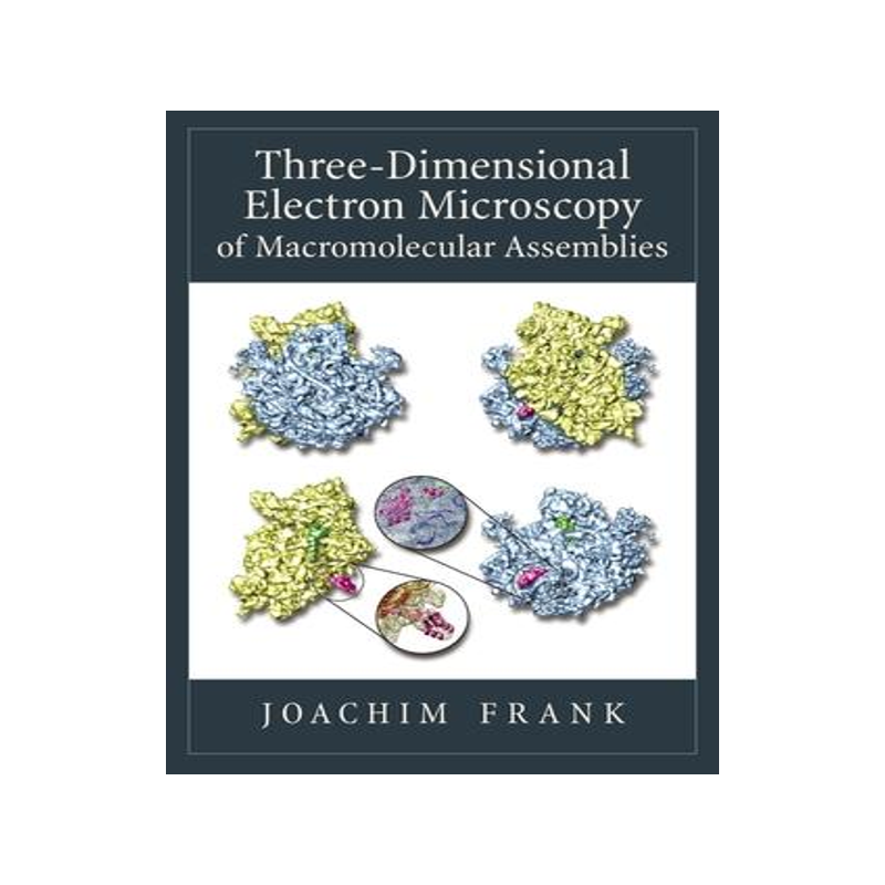 Three-Dimensional Electron Microscopy of Macromolecular Assemblies