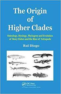 Clades Fishes 预售 Osteology Higher Origin the Bony Myology Rise and Evolution The Te... Phylogeny