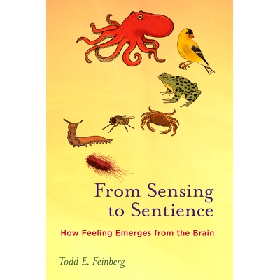 How Feeling Emerges from the Brain
by To
