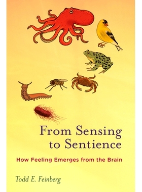 预订 From Sensing To Sentienc: How Feeling Emerges from the Brain by Todd E. Feinbe 从感觉到知觉：感觉如何从大脑中产生: