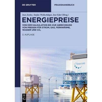 预订 Energiepreise: Von der Kalkulation bis zur Abrechnung von Preisen für Strom, Gas, Fernwärme, Wasserund CO₂ 能源