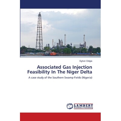 预订 Associated Gas Injection Feasibility in the Niger Delta: 9783659495984