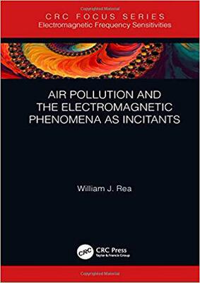 【预售】Air Pollution and the Electromagnetic Phenomena as Incitants
