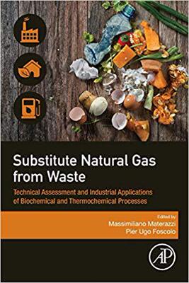 【预售】Substitute Natural Gas from Waste