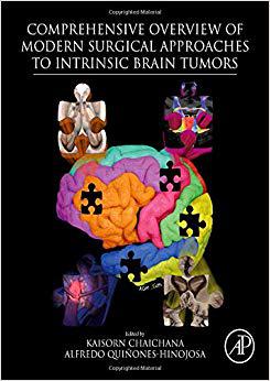 【预订】Comprehensive Overview of Modern Surgical Approaches to Intrinsic Brain Tumors