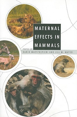 【预订】Maternal Effects in Mammals 9780226501208