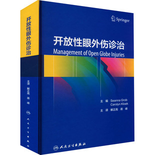 开放性眼外伤诊治 9787117329200