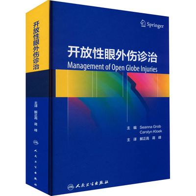 开放性眼外伤诊治  9787117329200