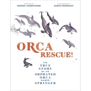 Springer Rescue Named Orphaned Story True The Orca 预订