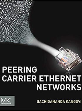 【预售】Peering Carrier Ethernet Networks