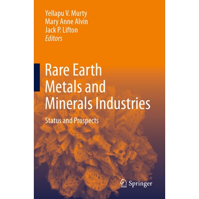 预订 Rare Earth Metals and Minerals Industries Status and Prospects 稀土金属与矿物行业：现状与前景 9783031318696