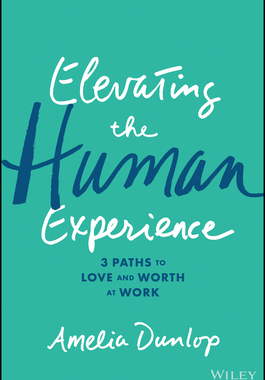 【预订】Elevating The Human Experience: Three Paths To Love And Worth At Work 9781119791348