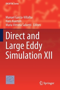 and Large Eddy XII Direct Simulation 2020 预订