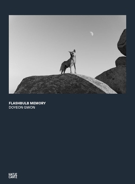 预订 Doyeon Gwon: Flashbulb Memory Doyeon Gwon：闪光灯记忆: 9783775746878
