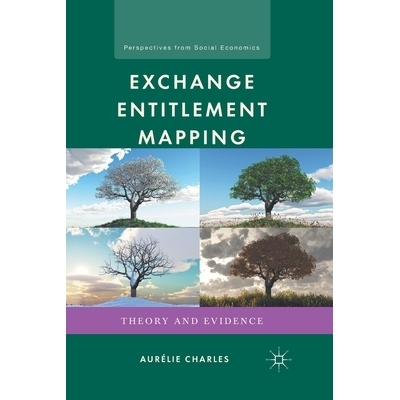 预订 Exchange Entitlement Mapping: Theory and Evidence: 9781349298440