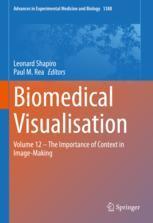 【预订】Biomedical Visualisation 9783031108884