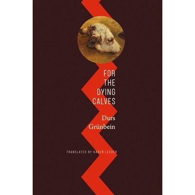 Beyond Literature: Oxford Lectures