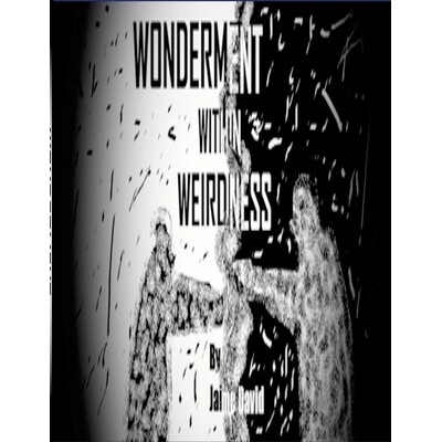 预订 Wonderment Within Weirdness: 9781300569213