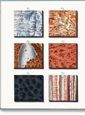 [预订]Jan Christiaan Sepp. the Book of Marble 9783836584500