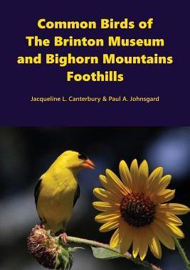 [预订]Common Birds of The Brinton Museum and Bighorn Mountains Foothills 9781609621148