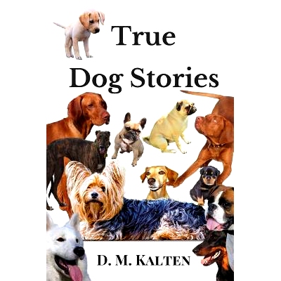 预订 True Dog Stories: Short Stories from Days Gone By: 9781973799719