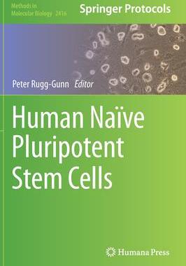 [预订]Human Naïve Pluripotent Stem Cells 9781071619070