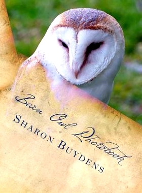 预订 Barn Owl Photobook: Royalty Free Color Pix of the Common Barn Owl, Family Tytonidae (Tyto Alba) Plus Talons & Owl D