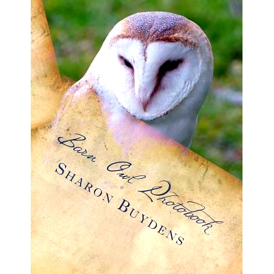 预订 Barn Owl Photobook: Royalty Free Color Pix of the Common Barn Owl, Family Tytonidae (Tyto Alba) Plus Talons & Owl D