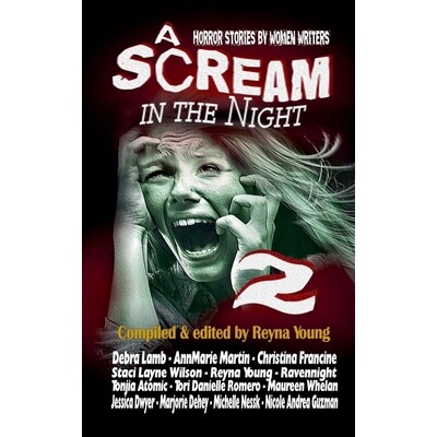 预订 A Scream in the Night 2 9798233325779
