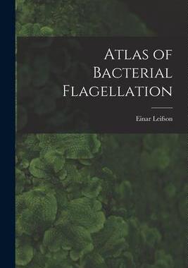 [预订]Atlas of Bacterial Flagellation 9781017479478