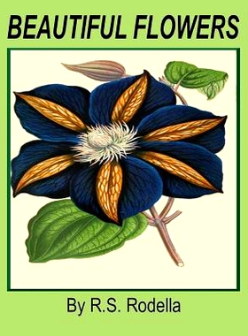 预订 Beautiful Flowers: Coffee Table Book: 9781548306380