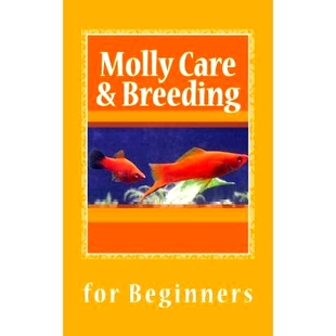 Beginner’s 9781492758334 Care Mollies Guide Breeding Molly 预订