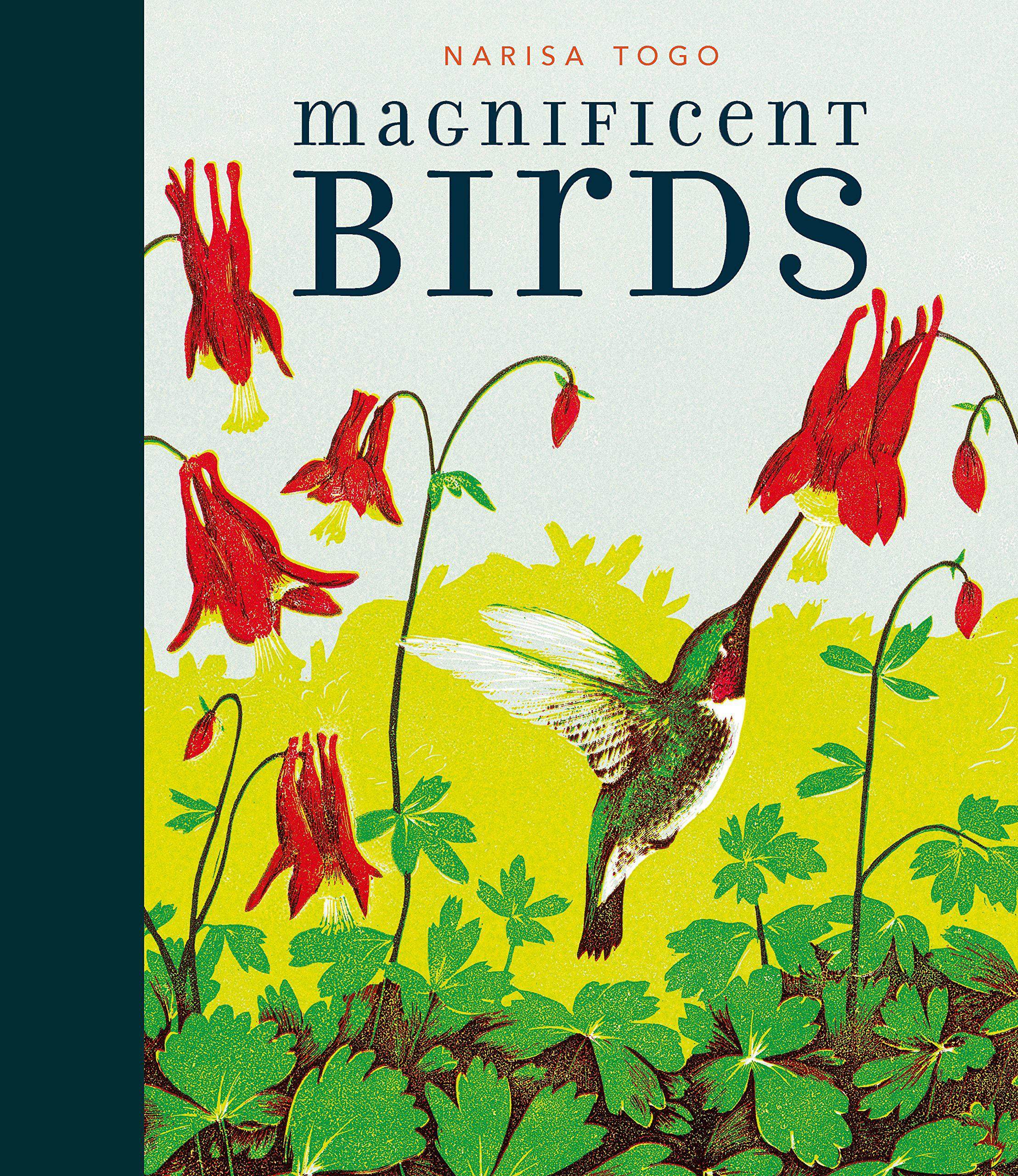 【预售】magnificent birds